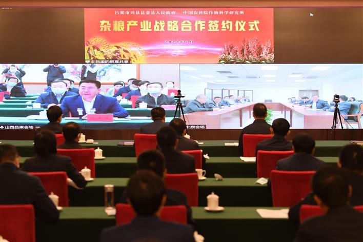 興縣縣委、縣政府與中國農科院作科所舉行雜糧產業戰略合作視頻簽約儀式